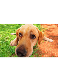 LOVE　まさお君が行く！