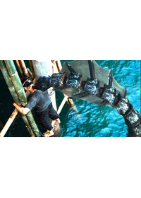 シー・トレマーズ