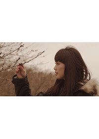 桜並木の満開の下に