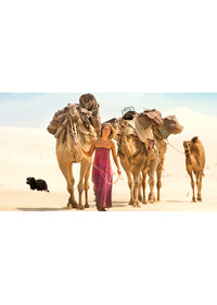 奇跡の2000マイル