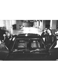 アリーキャット