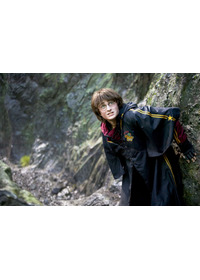 ハリー・ポッターと炎のゴブレット(C)APOLLO