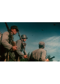 若き兵士たち 栄光なき戦場