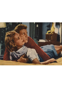 非情の罠(C)APOLLO