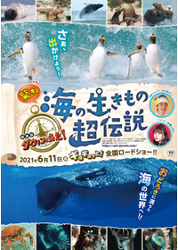 驚き！海の生きもの超伝説 劇場版ダーウィンが来た！