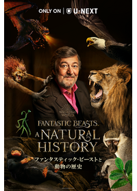 © Warner Bros. Entertainment UK Limited 2022