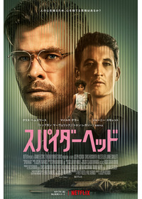 スパイダーヘッド