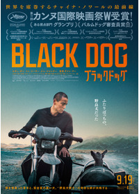 ブラックドッグ