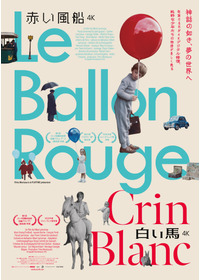 ⼩さなロバ、ビム 4K