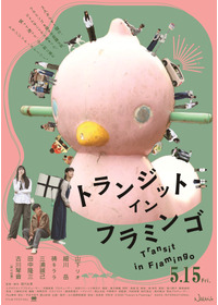 トランジット・イン・フラミンゴ