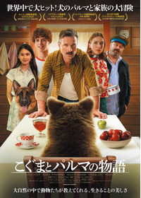 こぐまとパルマの物語