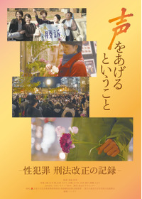 声をあげるということ-性犯罪 刑法改正の記録-
