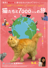 猫たちと7000マイルの旅