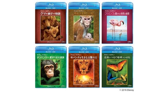 予告編 ウォルト ディズニーの遺志を継ぐ大自然のドキュメンタリー ディズニーネイチャー Cinemacafe Net