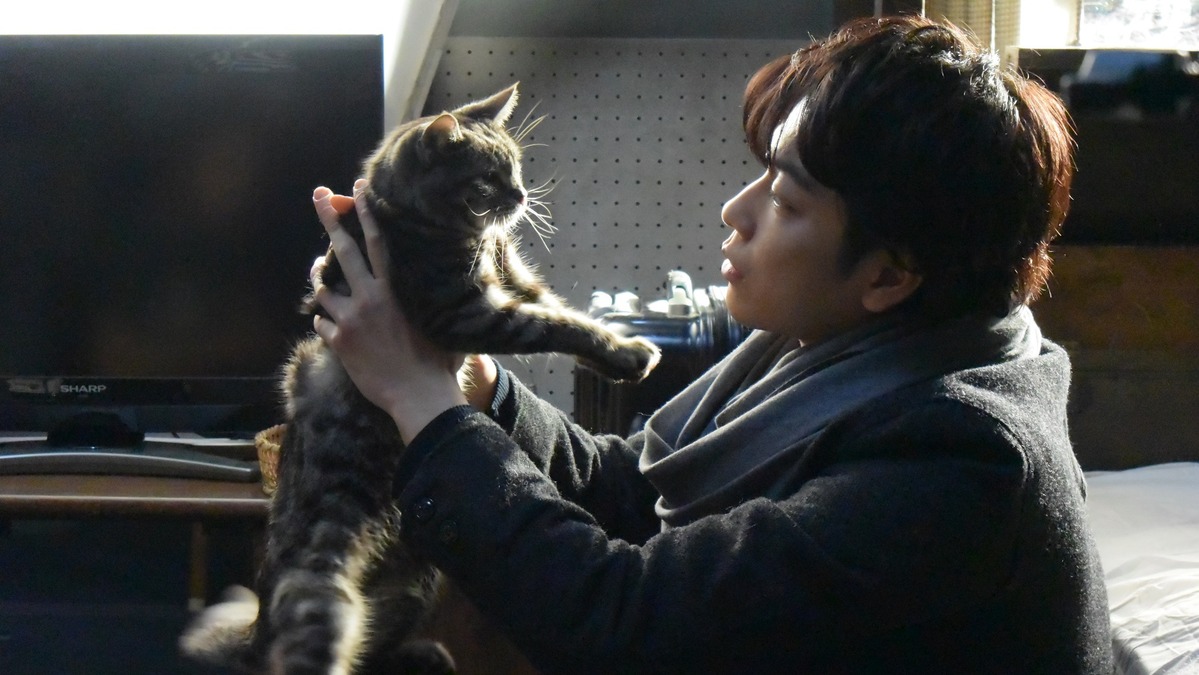 予告編 佐藤健 大切なものを消すとしたら 世界から猫が消えたなら Cinemacafe Net