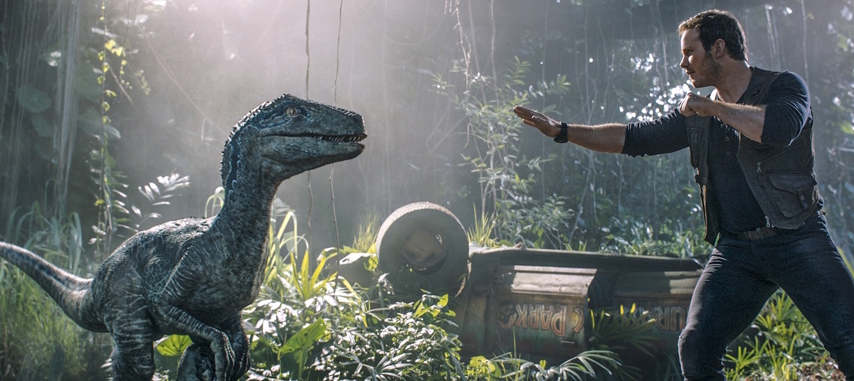 クリス プラット 相棒 ブルーとの絆語る 未公開映像満載 ジュラシック ワールド Cinemacafe Net