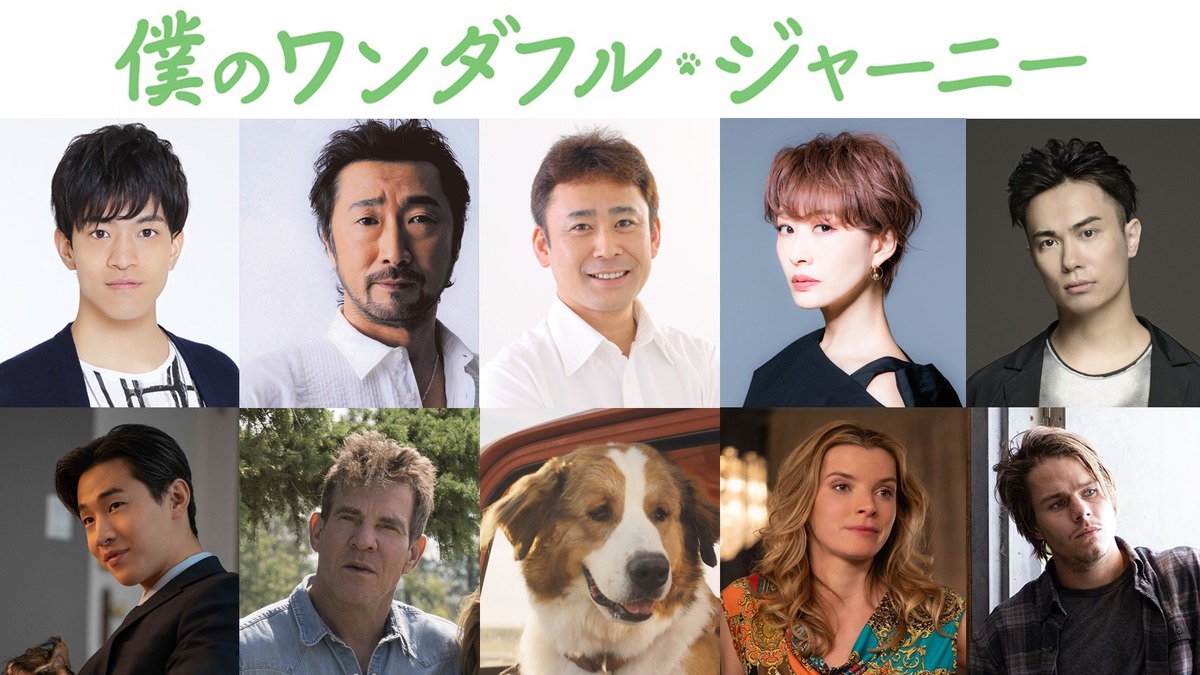 朴ロ美 鈴木達央が参加 高木渉も続投 僕のワンダフル ジャーニー 吹替予告 Cinemacafe Net