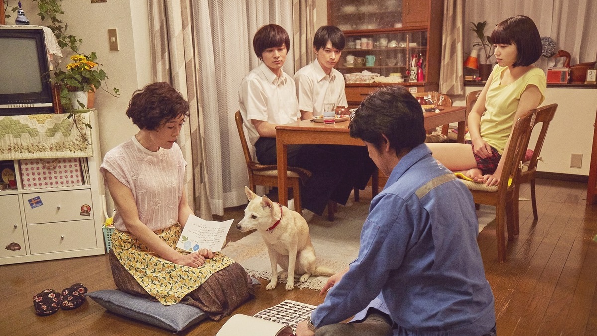 寺島しのぶ 永瀬正敏 夫婦ゲンカの行方は 愛犬 サクラ も見守る さくら 本編映像 Cinemacafe Net