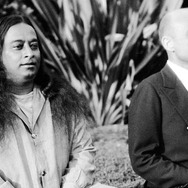 永遠のヨギー ヨガをめぐる奇跡の旅 作品情報 Cinemacafe Net