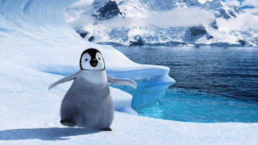 ハッピー フィート 1枚目の写真・画像