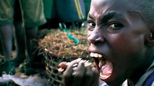 ダーウィンの悪夢 1枚目の写真・画像