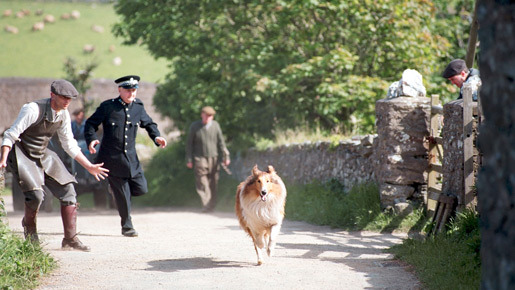 名犬ラッシー (2005) 2枚目の写真・画像