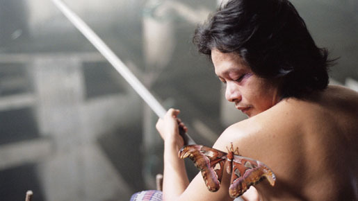 黒い眼のオペラ 2枚目の写真・画像