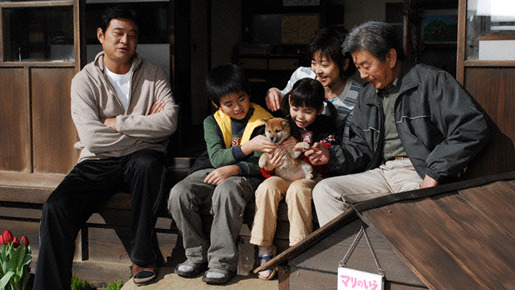 マリと子犬の物語 7枚目の写真・画像