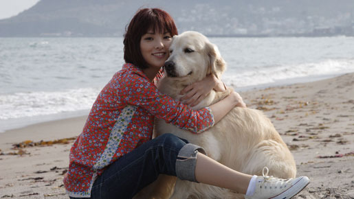 犬と私の10の約束 1枚目の写真・画像