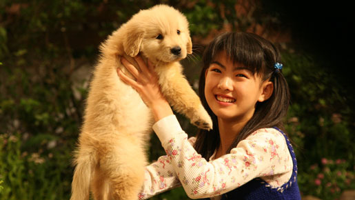 犬と私の10の約束 5枚目の写真・画像