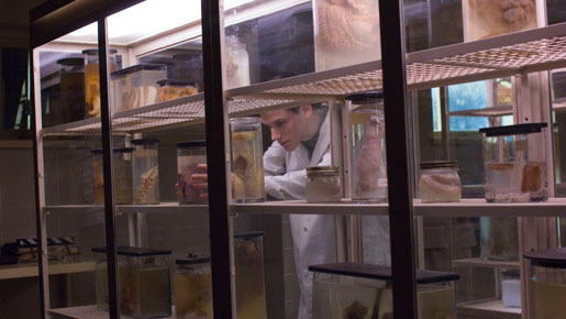 ハンニバル・ライジング 3枚目の写真・画像