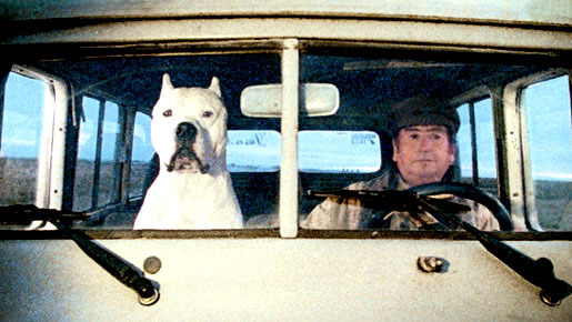 ボンボン 1枚目の写真・画像