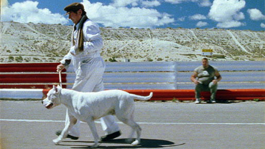 ボンボン 2枚目の写真・画像