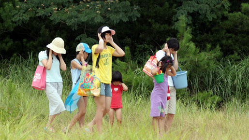 天然コケッコー 4枚目の写真・画像