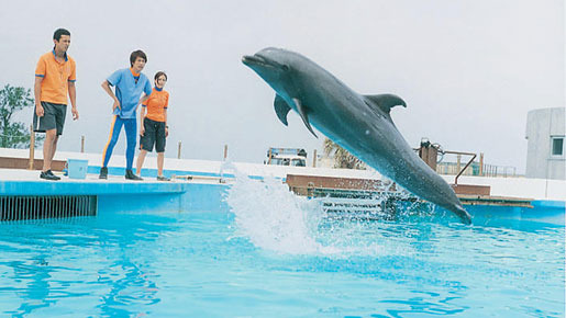 ドルフィンブルー フジ、もういちど宙（そら）へ 2枚目の写真・画像