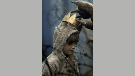 かいじゅうたちのいるところ 15枚目の写真・画像