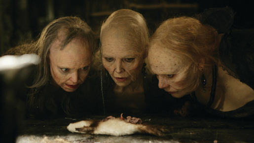 スターダスト 6枚目の写真・画像