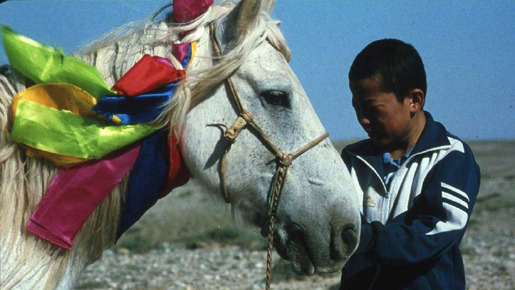 白い馬の季節 3枚目の写真・画像