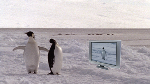 童貞ペンギン 2枚目の写真・画像