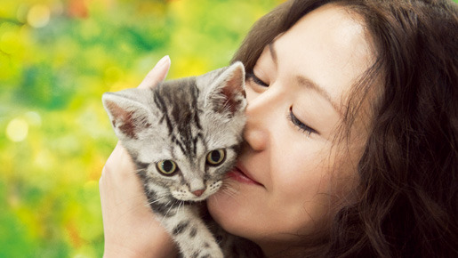 グーグーだって猫である 1枚目の写真・画像