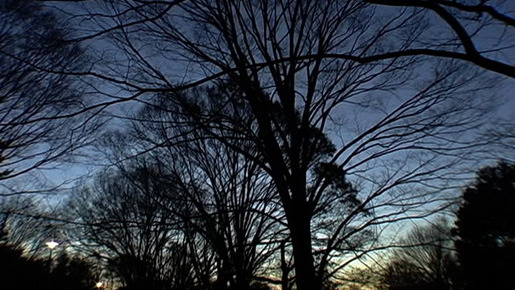 眠り姫 3枚目の写真・画像