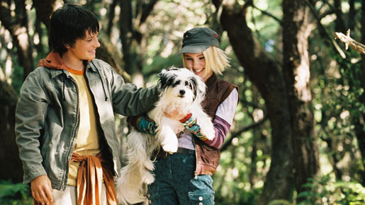 テラビシアにかける橋 1枚目の写真・画像