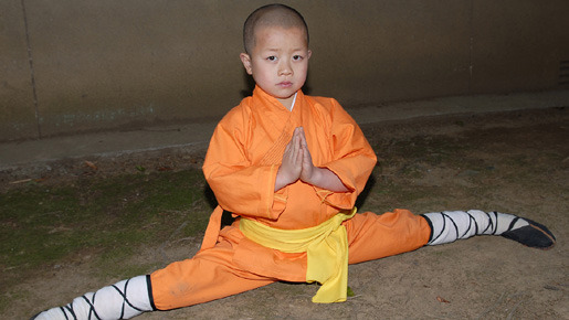 カンフーくん 12枚目の写真・画像