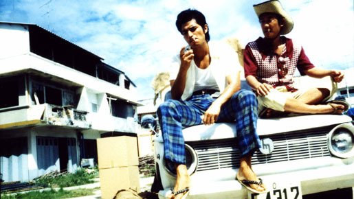 ハブと拳骨 1枚目の写真・画像