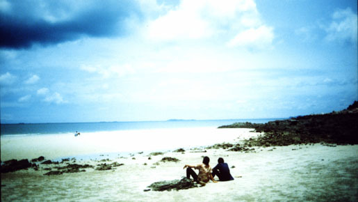 ハブと拳骨 4枚目の写真・画像