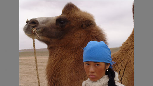 トゥヤーの結婚 5枚目の写真・画像