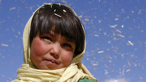 子供の情景 2枚目の写真・画像