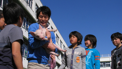 ブタがいた教室 1枚目の写真・画像