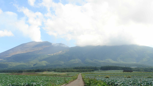 ジャージの二人 6枚目の写真・画像