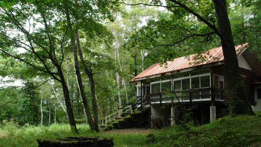 ジャージの二人 13枚目の写真・画像